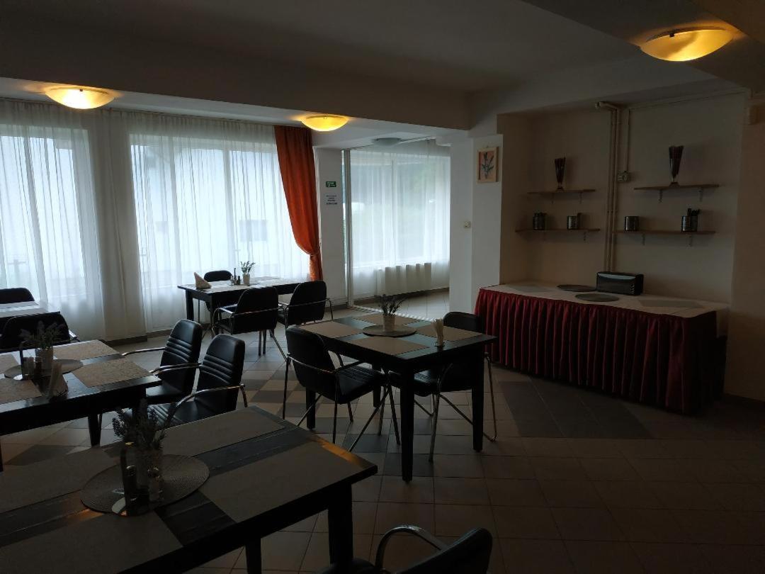 Hôtel Vila Mihail à Buşteni Extérieur photo