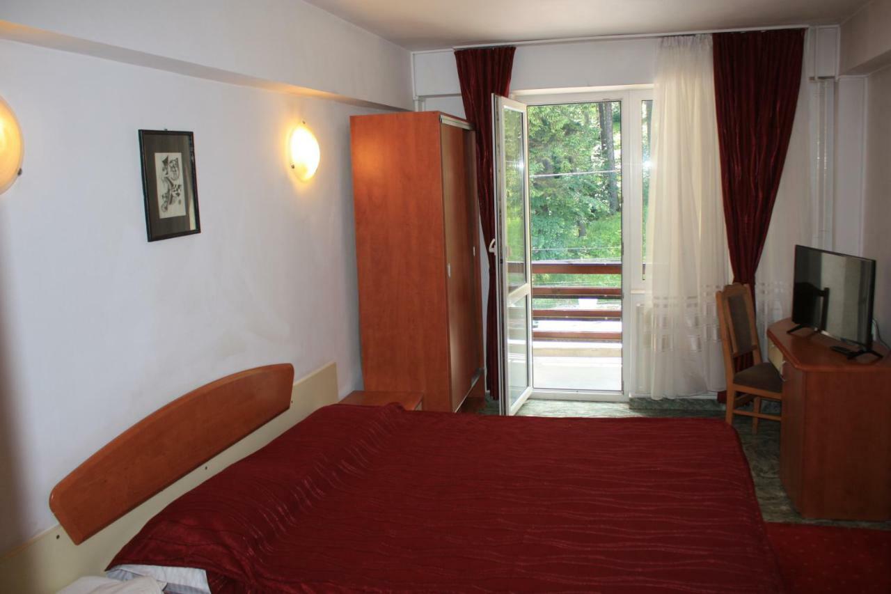 Hôtel Vila Mihail à Buşteni Extérieur photo