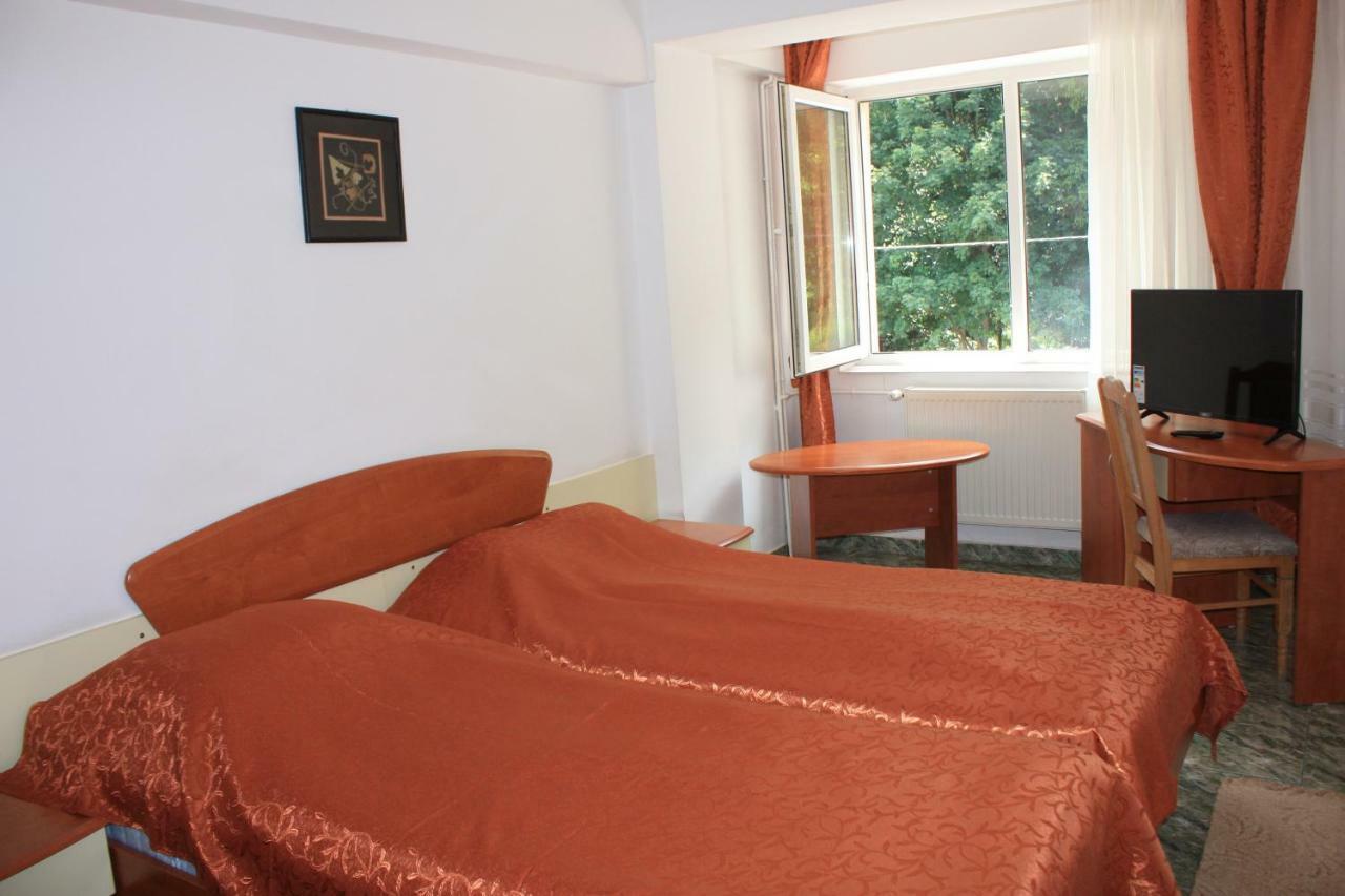 Hôtel Vila Mihail à Buşteni Extérieur photo