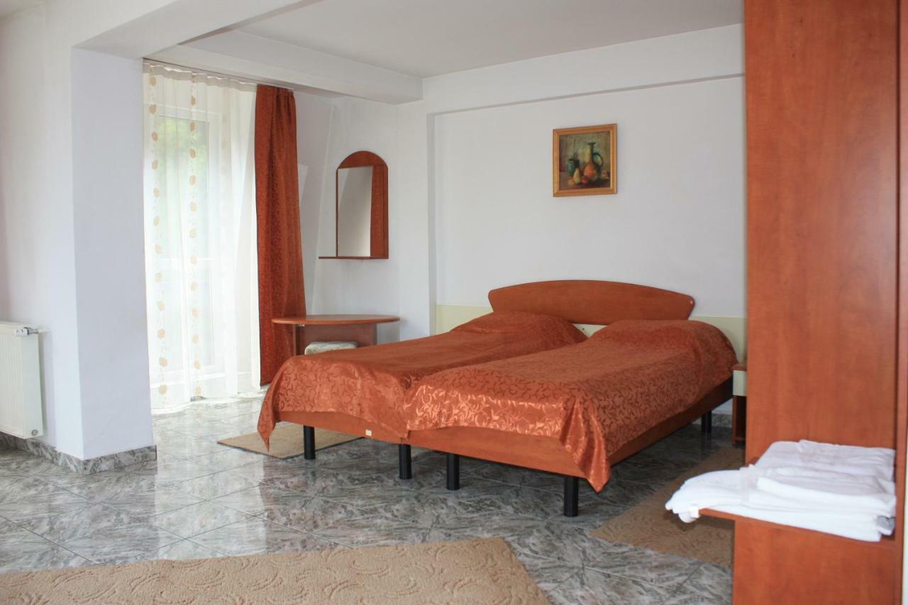 Hôtel Vila Mihail à Buşteni Extérieur photo