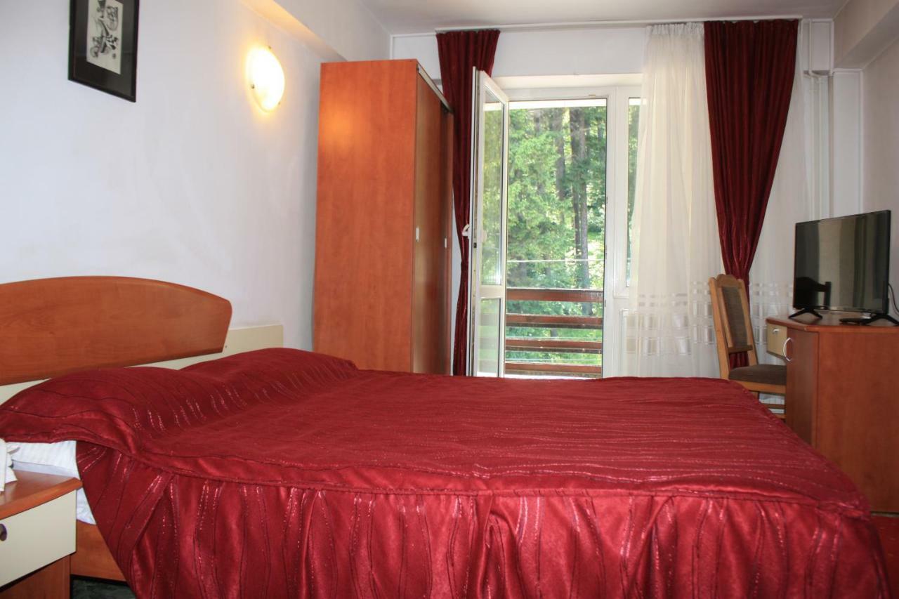 Hôtel Vila Mihail à Buşteni Extérieur photo